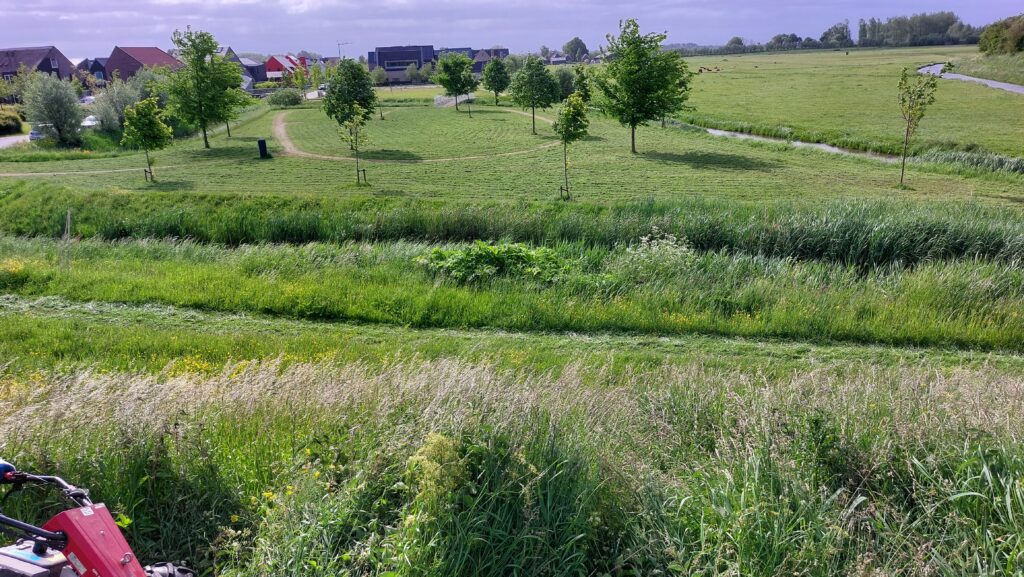 In andere woorden: ecologisch maaien. Hiermee geef je ruimte aan de groei van bloemen en kruiden!