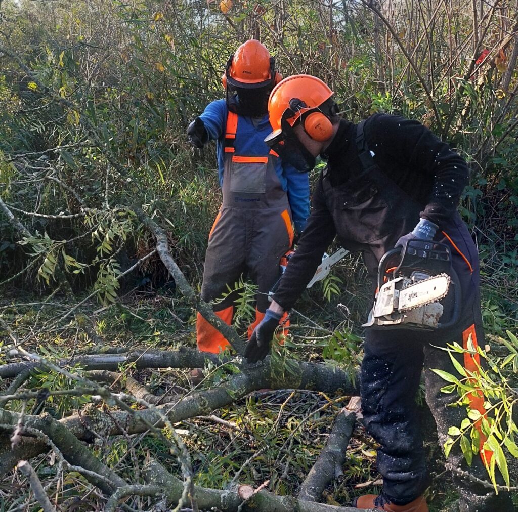 Bramen en een paar bomen weg, veel zaagwerk op de grond en zelfs bovenin de bomen!