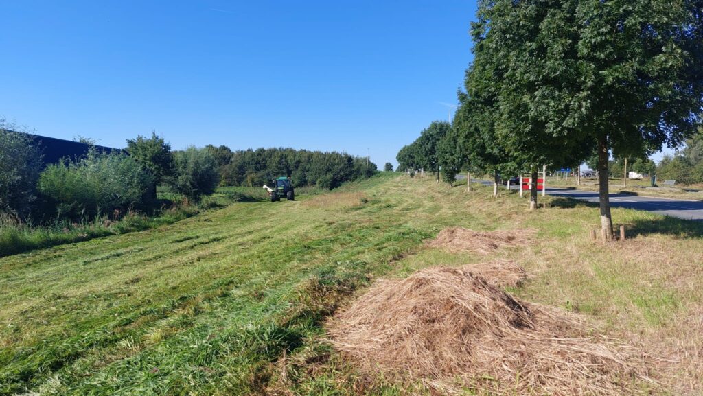 De bermen langs de Veenweg in Mijdrecht