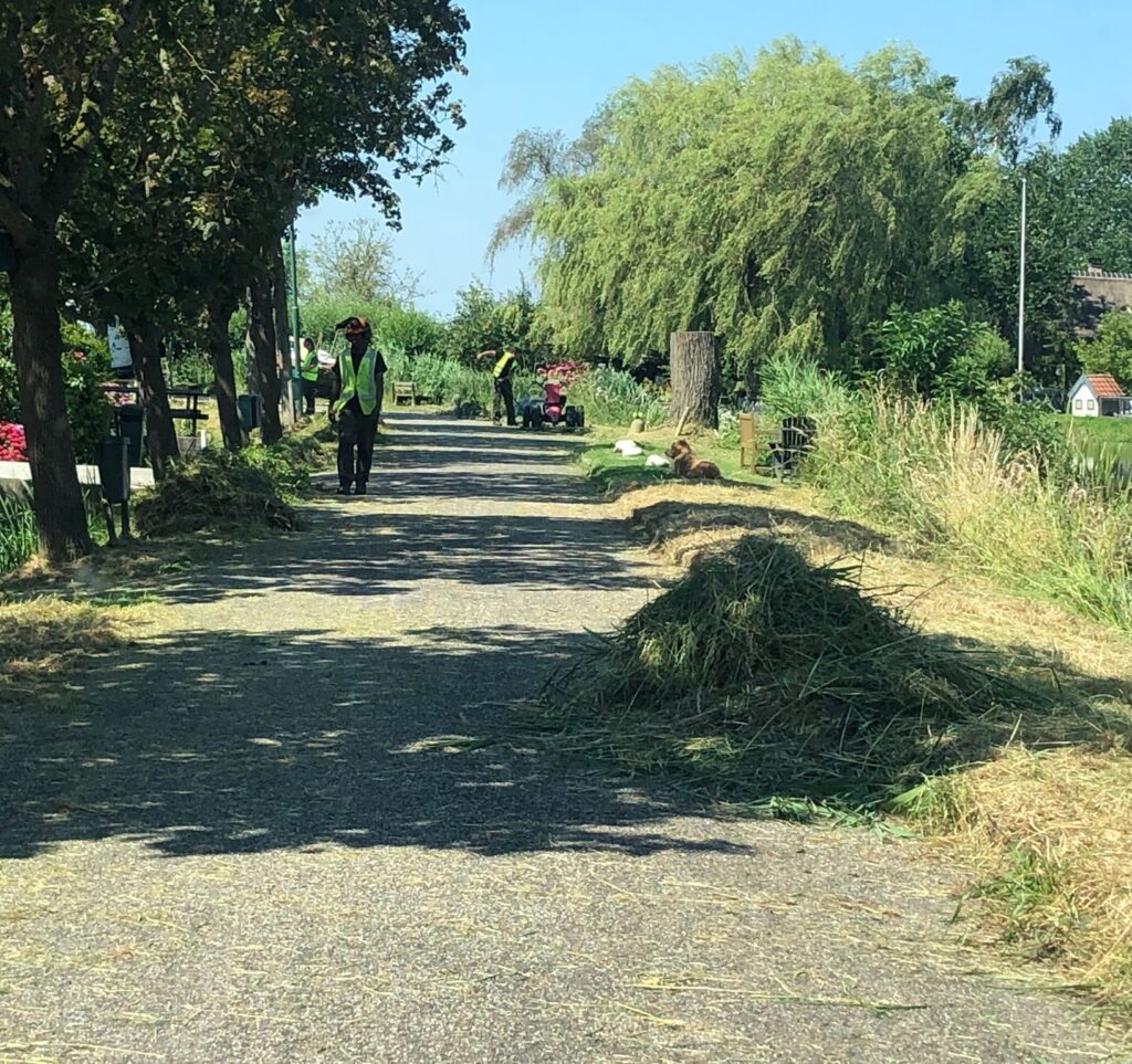 Langs het Zand- en Jaagpad is het vooral selectief maaien