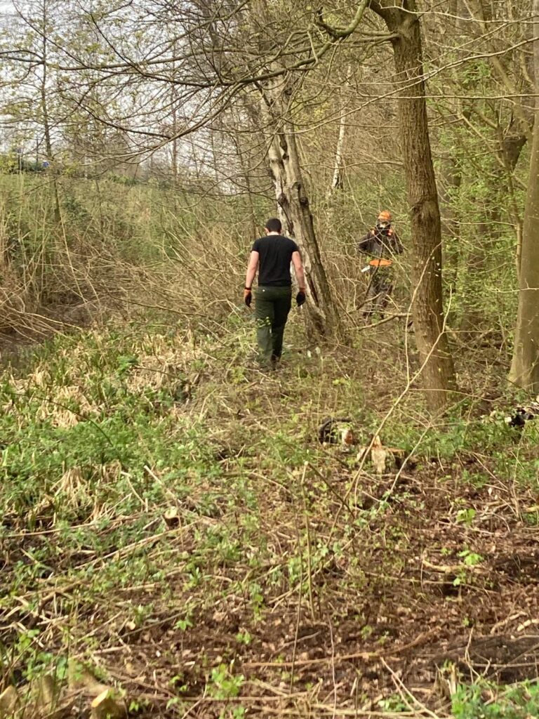 In opdracht van de gemeente Diemen in Natuurpark Spoorzicht