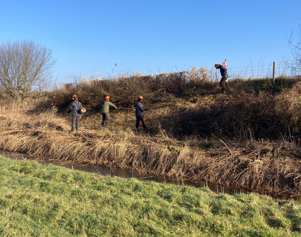 Overwoekerde dijk opschonen