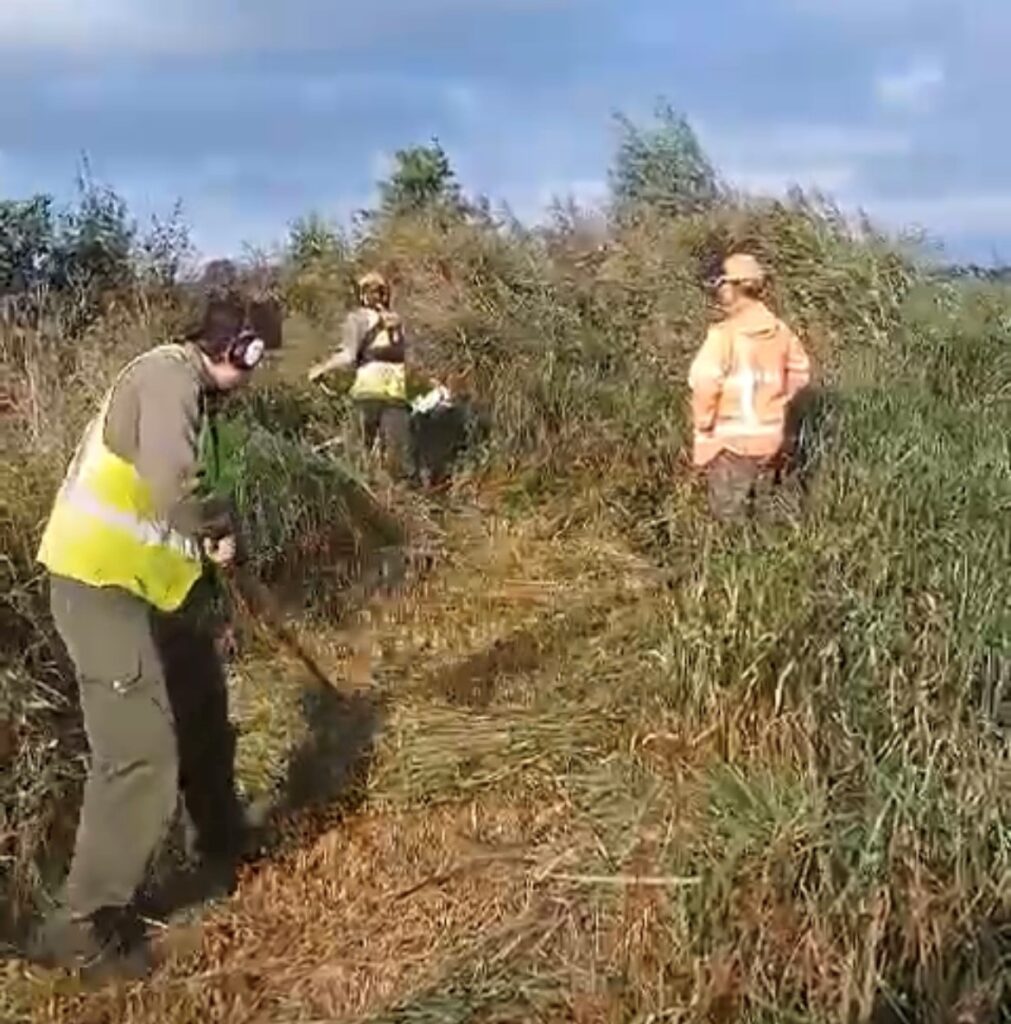 Enorme ecologische maaiklus